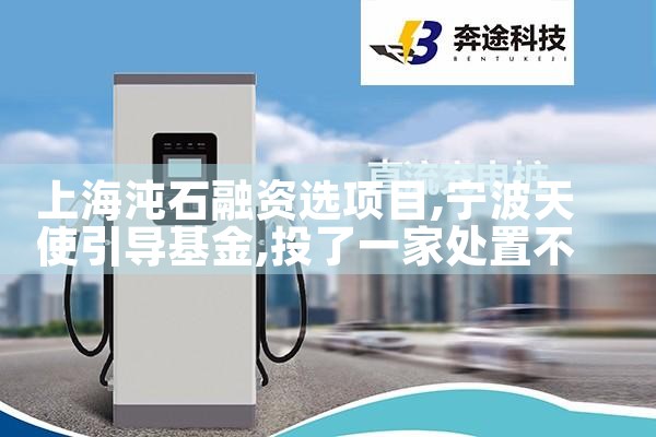 �Ϻ���ʯ����ѡ��Ŀ