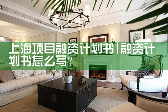 上海项目融资计划书