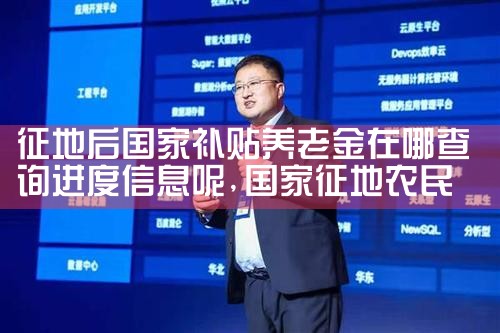 征地后国家补贴养老金在哪查询进度信息呢|养征信|债务重组