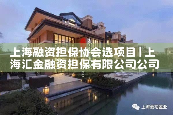 上海融资担保协会选项目