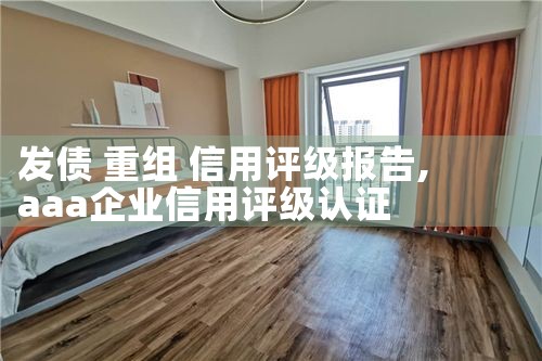 发债 重组 信用评级报告