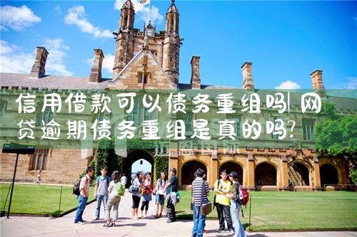 信用借款可以债务重组吗