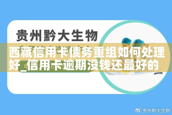 内蒙古信用卡债务重组案例
