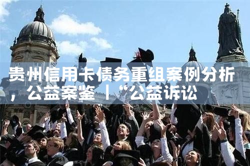 贵州信用卡债务重组案例分析