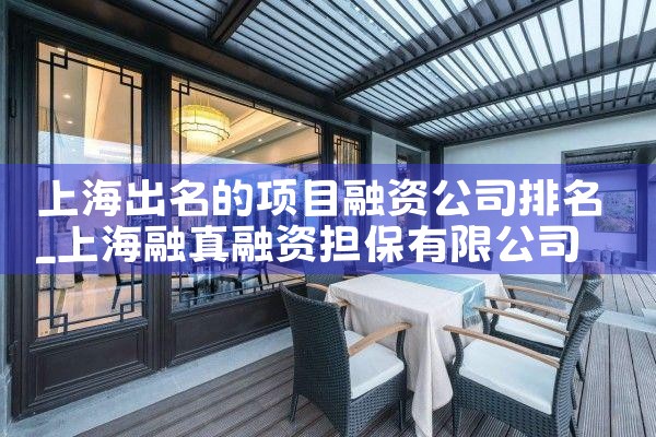上海出名的项目融资公司排名