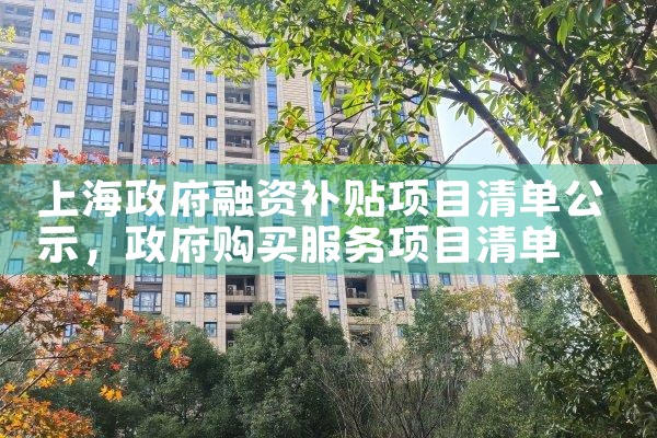 上海政府融资补贴项目清单公示