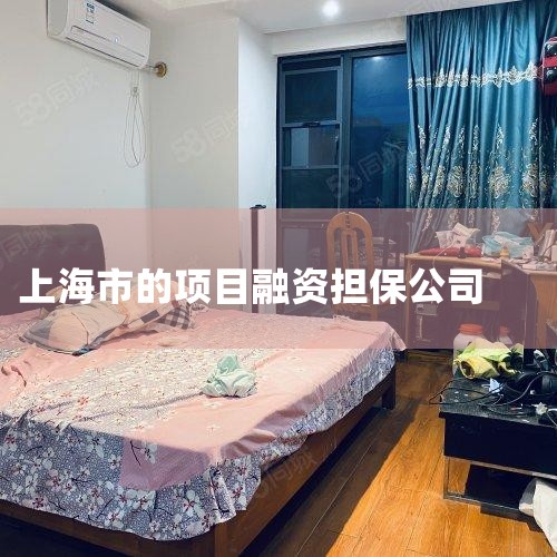 ()СҵõϵĿ ֵ֧ٵΪС͡΢ҵṩʵĿ ()ҵʸӷýĿ ֱ֧ϽڷСҵڻ...