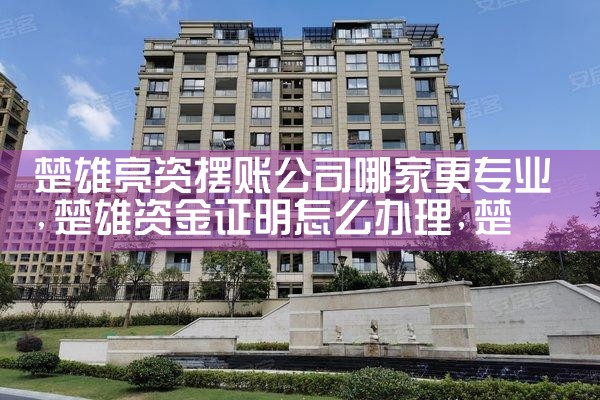 楚雄亮资摆账公司哪家更专业