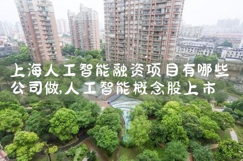 上海人工智能融资项目有哪些公司做