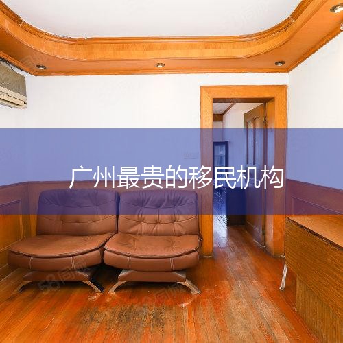 4�������л��˳����������޹�˾�������л��˳����������޹�˾��һ��֪�������н������������1989�ꡣ5���������񣺹���������һ�Ҵ�����2002���רҵ��˾����Ҫ���³��뾳�����ҵ��6���������񣺻���