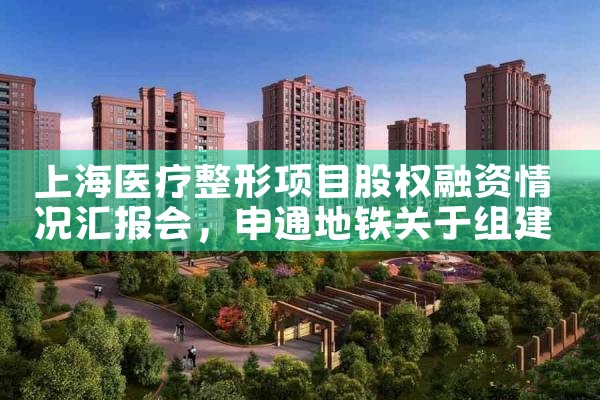 上海医疗整形项目股权融资情况汇报会