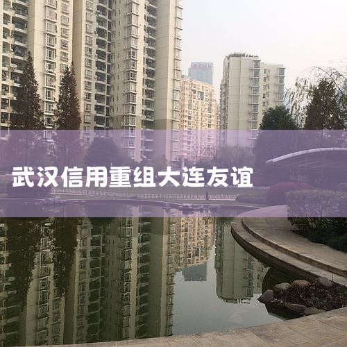 20102011人õ()ɷ޹˾ܾϯϹ;201120174人ͶʼŹɷ޹˾ܲáϯϹ;20166Ͷʿع()