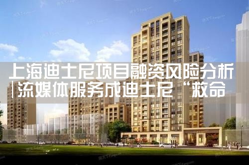 上海迪士尼项目融资风险分析