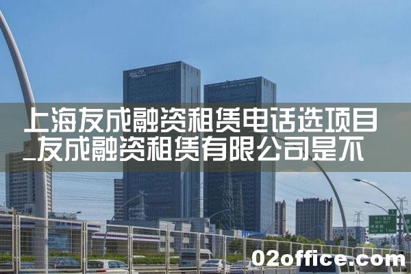 上海友成融资租赁电话选项目