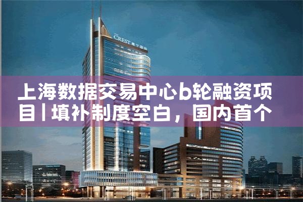 上海数据交易中心b轮融资项目