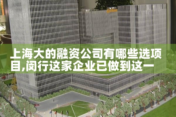 上海大的融资公司有哪些选项目
