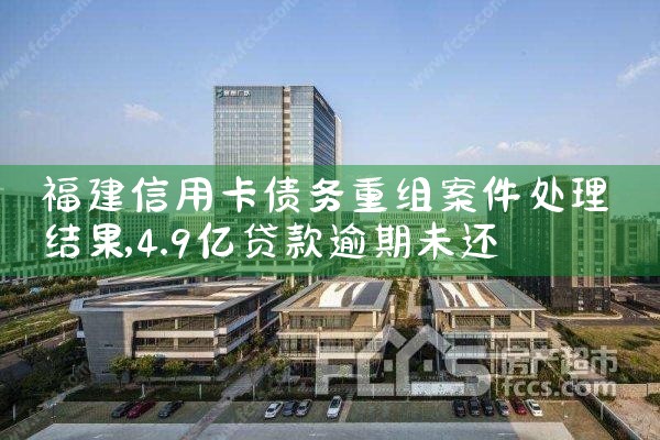 �������ÿ�ծ�����鰸���������