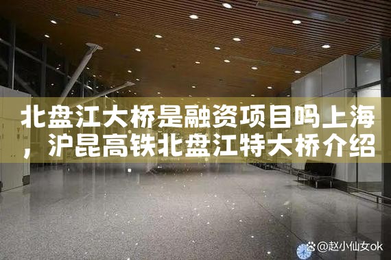 北盘江大桥是融资项目吗上海