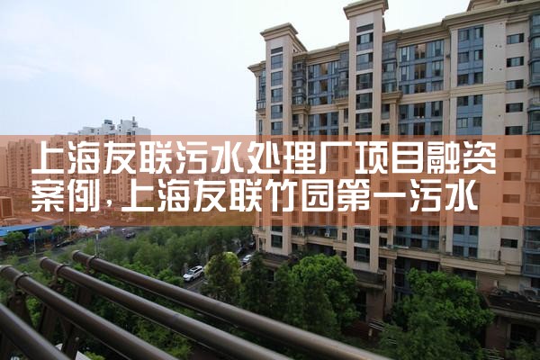 上海友联污水处理厂项目融资案例