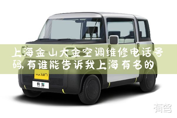 Ϻɽյά޵绰|ͬά޿ͷ
