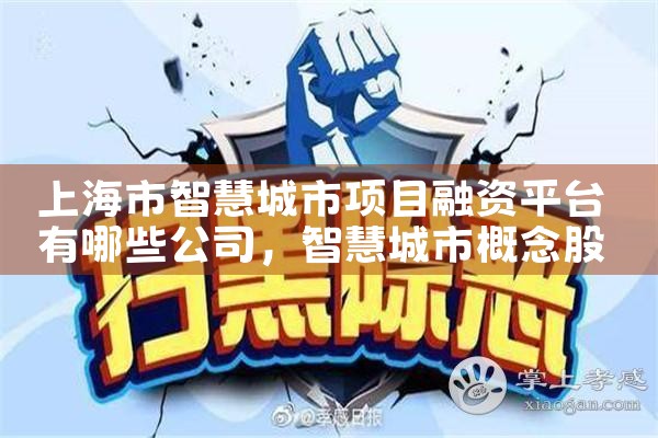 上海市智慧城市项目融资平台有哪些公司