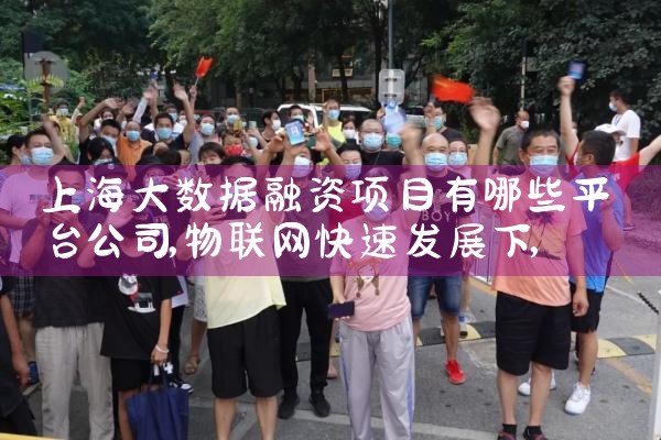 上海大数据融资项目有哪些平台公司